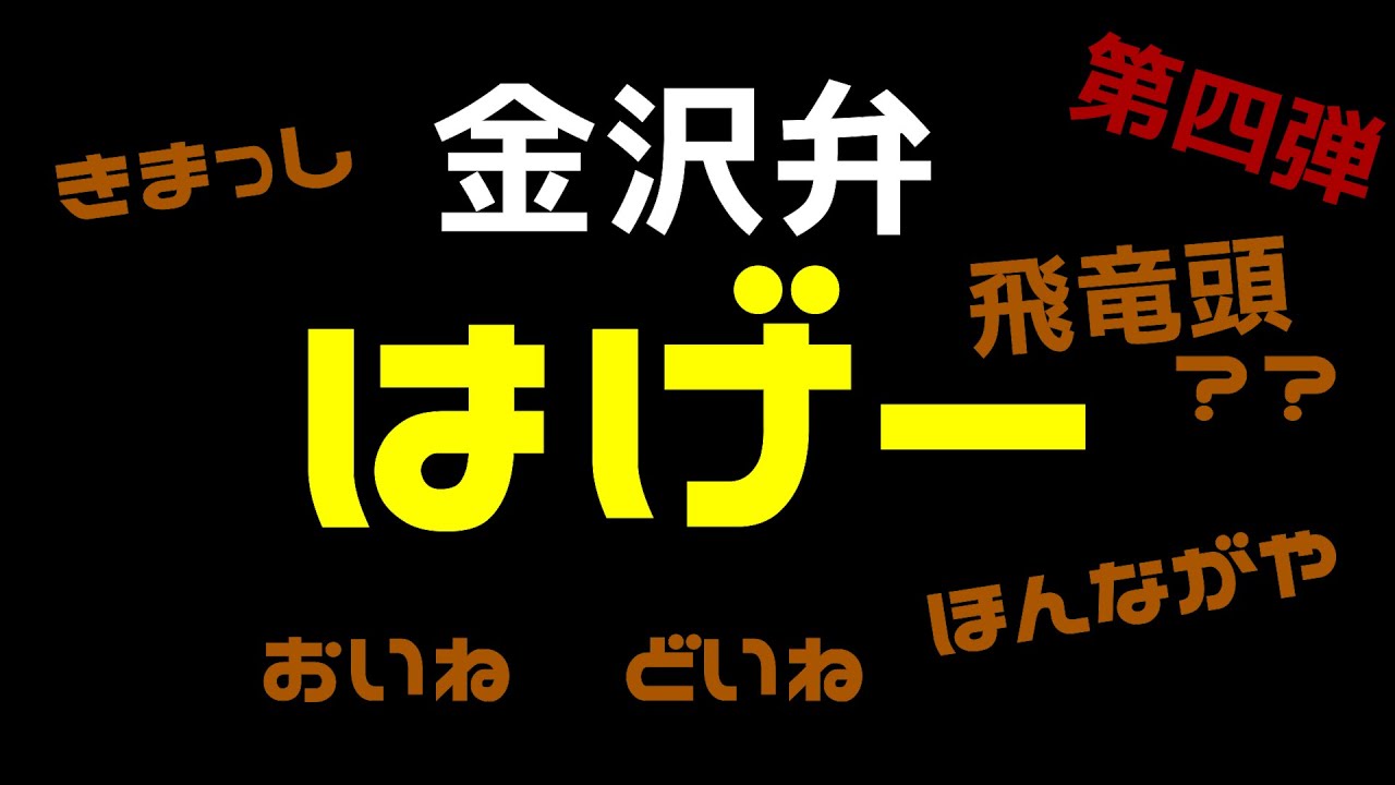 【金沢弁】ほんながや~って標準語だと思ってましたｗ金沢弁第四弾【金沢言葉】
