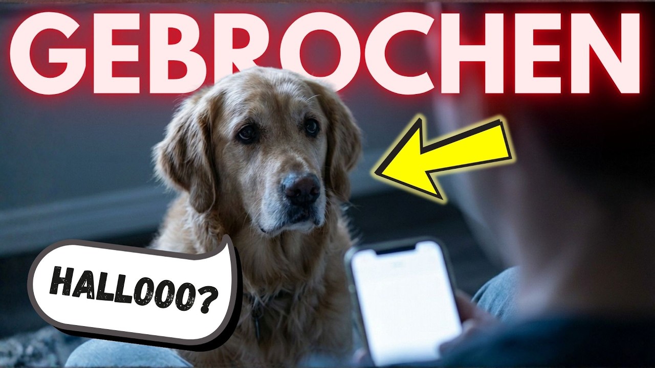 Das passiert, wenn wir unseren Hund zu oft ignorieren (traurig!)