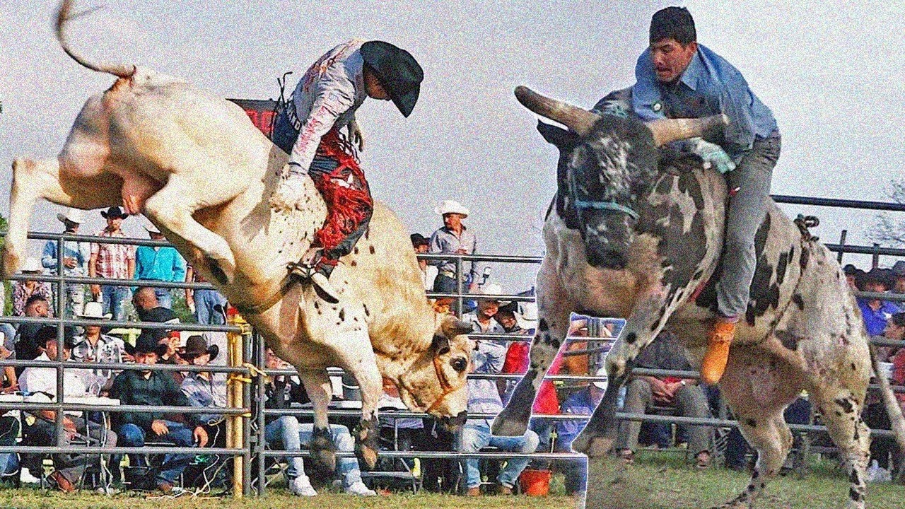 SPOT - GRAN TORNEO DE TOROS A LAZO Y GRAPA EN TIERRA BLANCA TAMAZULAPAM MIXE, OAXACA 2025