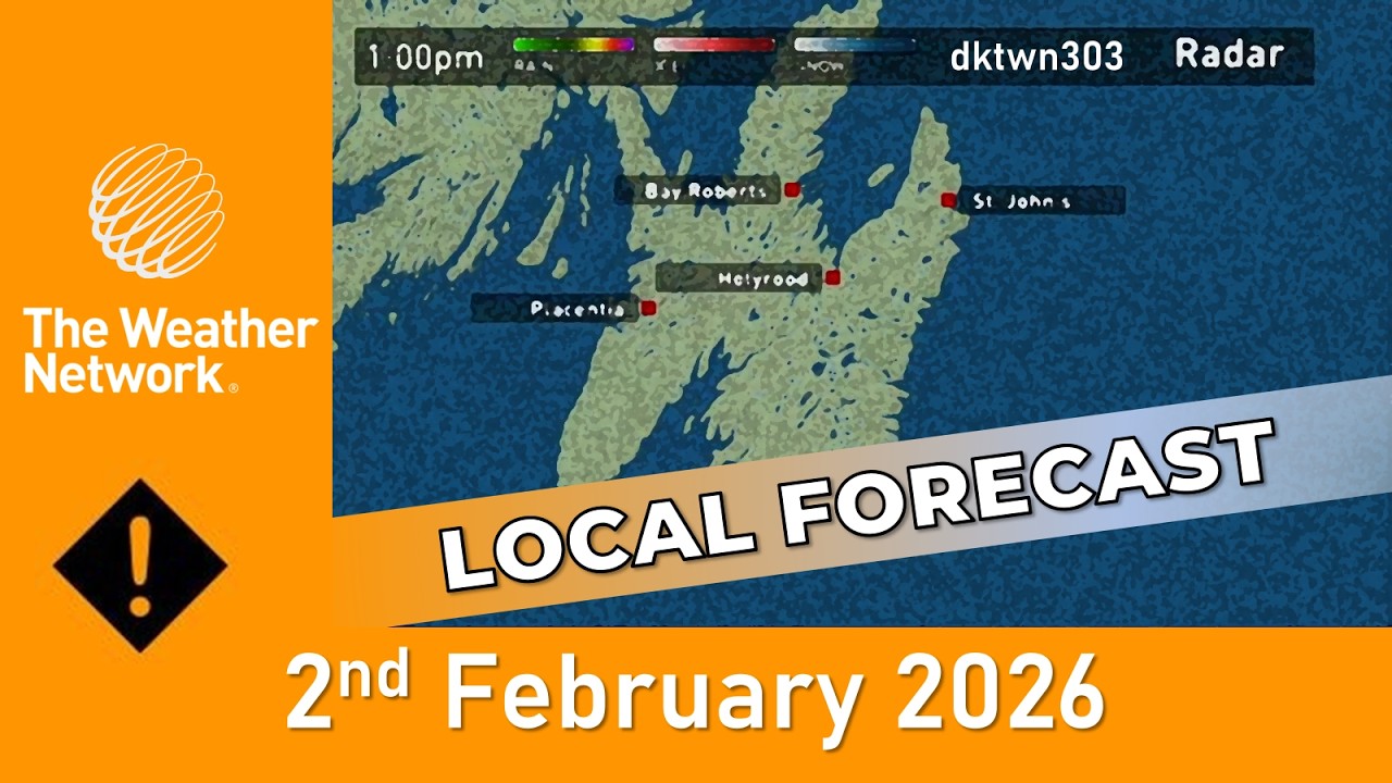 The Weather Network Local Forecast - 2 February 2026
