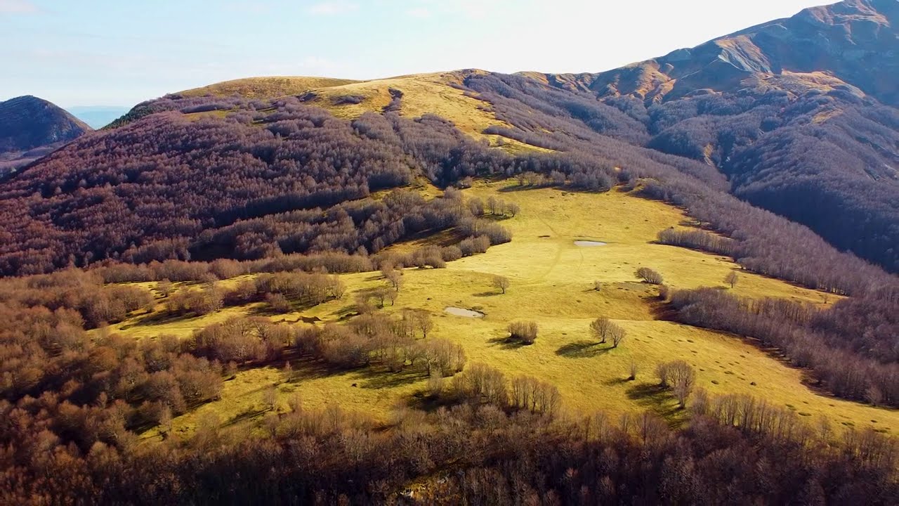 PRATI DI SARA - TUTTO D'UN FIATO!
