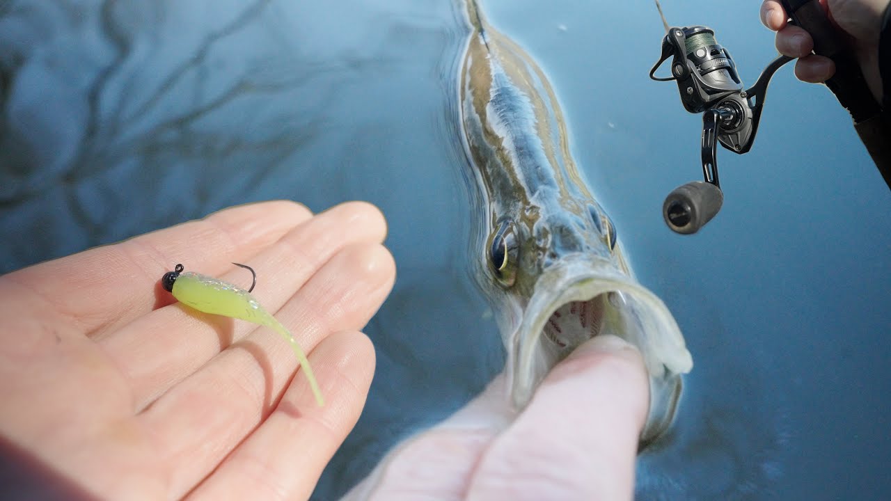 One Crappie Lure To Rule Them All
