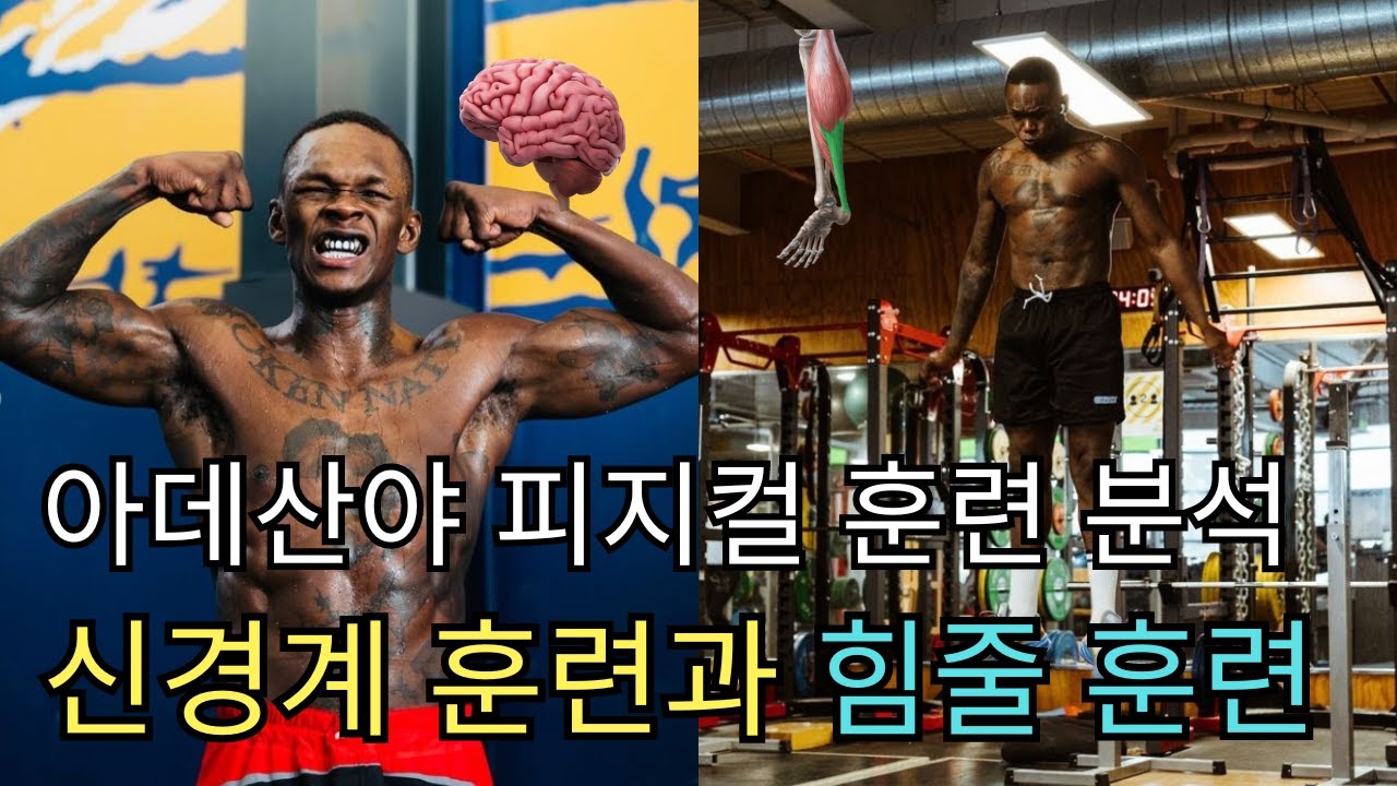 이스라엘 아데산야 피지컬 훈련 분석 (힘줄, 신경계)