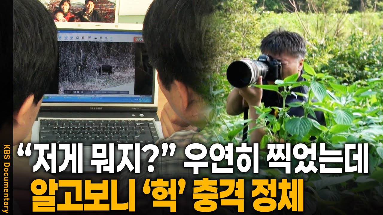 전설 속 동물이 왜 여기에? 우연히 찍힌 사진에서 발견된 충격 정체 | KBS 20111026 방송