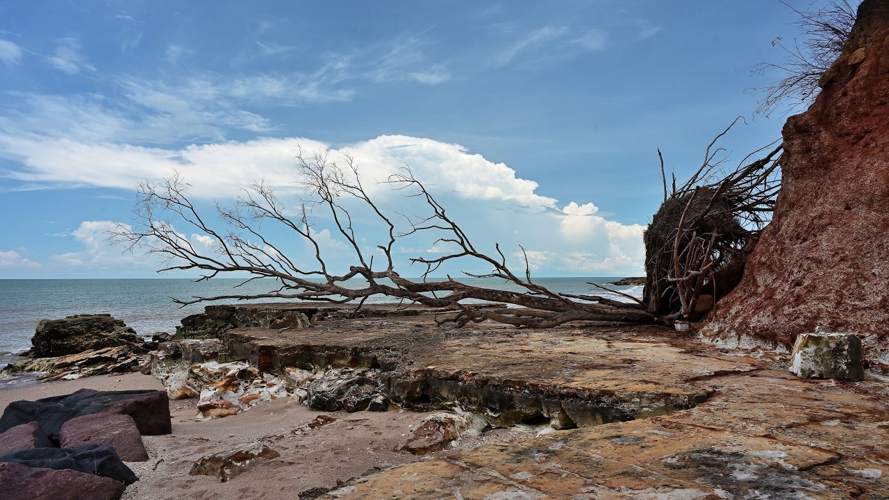 Project 71 The falling angels of Nightcliff Beach