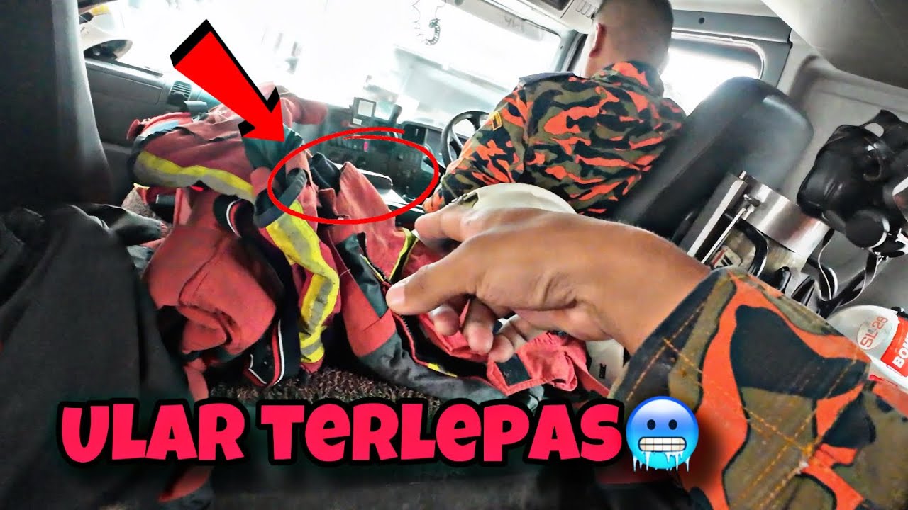 💢ULAR TERLEPAS DALAM LORI BOMBA‼️😱ULAR APA TU?