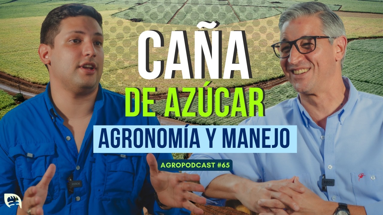 OSCAR NUÑEZ: ¿Cómo Mejoramos la produccion de Caña de Azucar? 🎋🚜