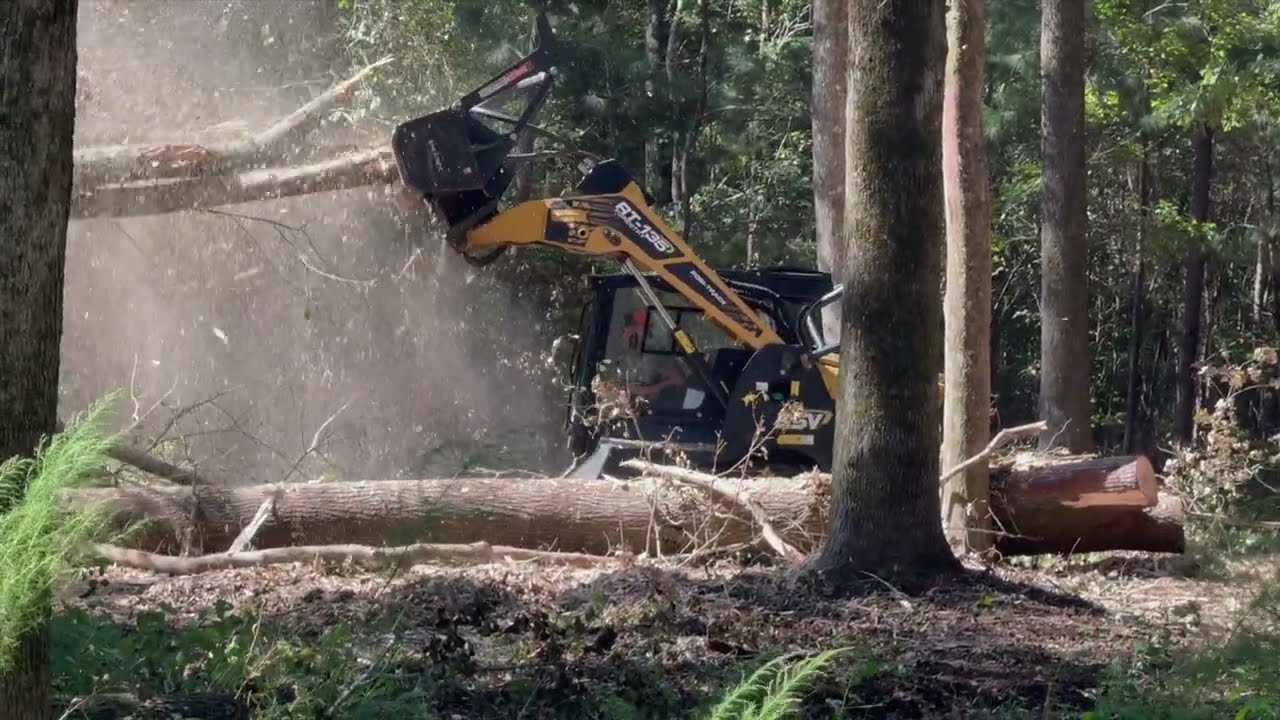 ASV 135 with Shearex HM-70 SR Mulching Large Trees