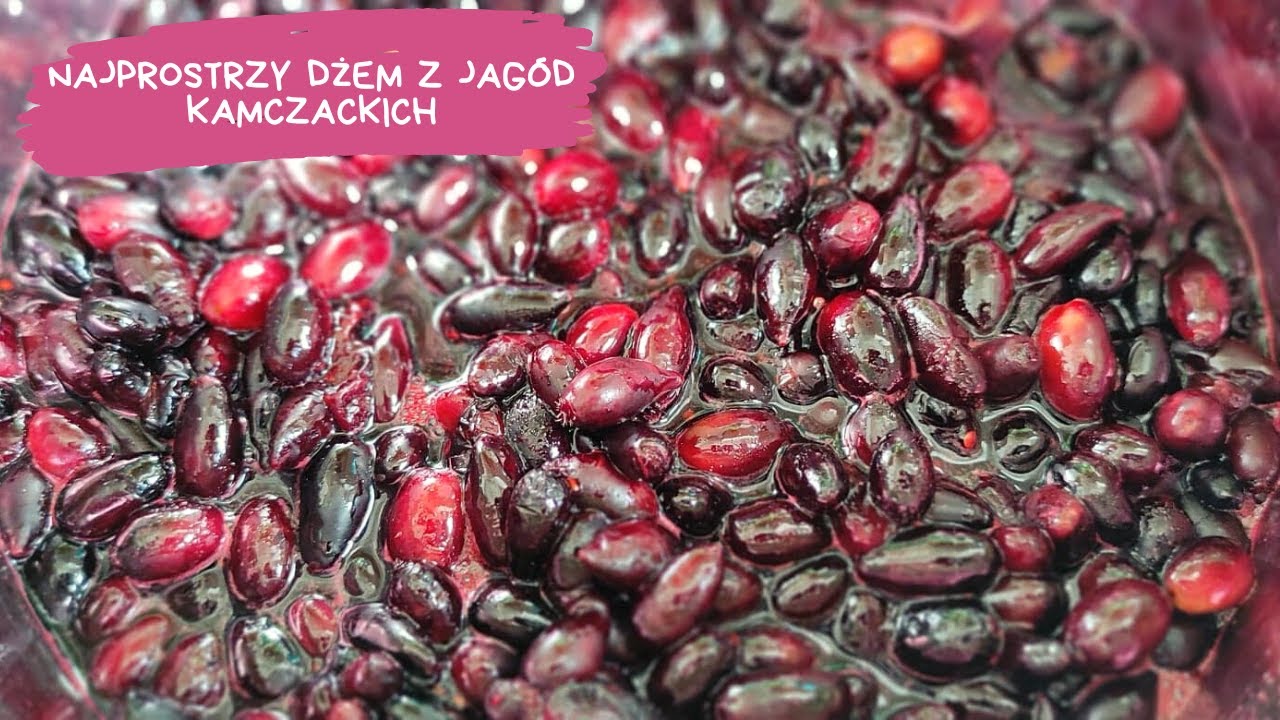 Dżem z jagód kamczackich w 15 min ??!!!