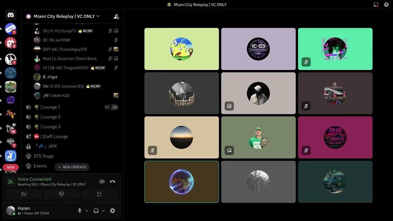 Discord Voice Chat Randomness