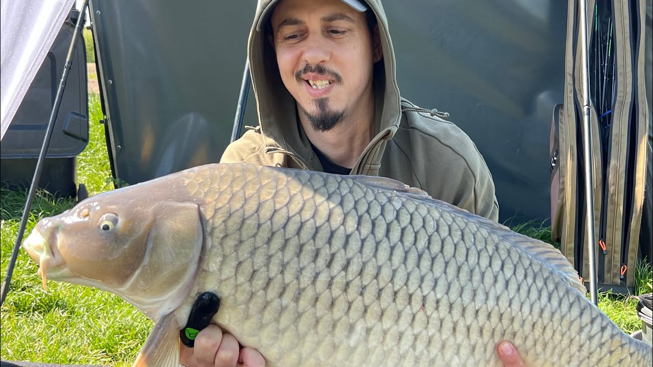 Balta Cenusaru stand 19, pescuit in tandem . A fost vizat Crapul și Carasul.O baluba de crap de 10+