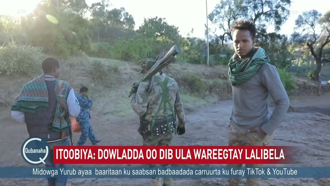 Dagaalka Amxaarada iyo Ciidamada Itoobiya