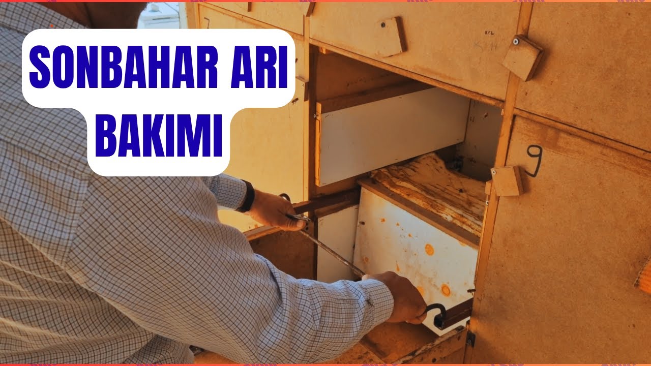 ARILARIMIZ NE DURUMDA!! KIŞA HAZIRLIK!! #arıcılık #arıcı #bal #arıbakımı #arısağlığı #beelife