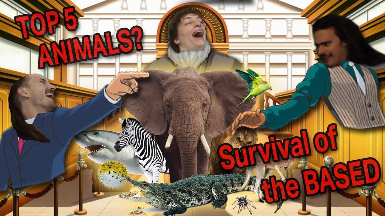 Allston Melee's Top 5 Animal - Allston Melee Podcast