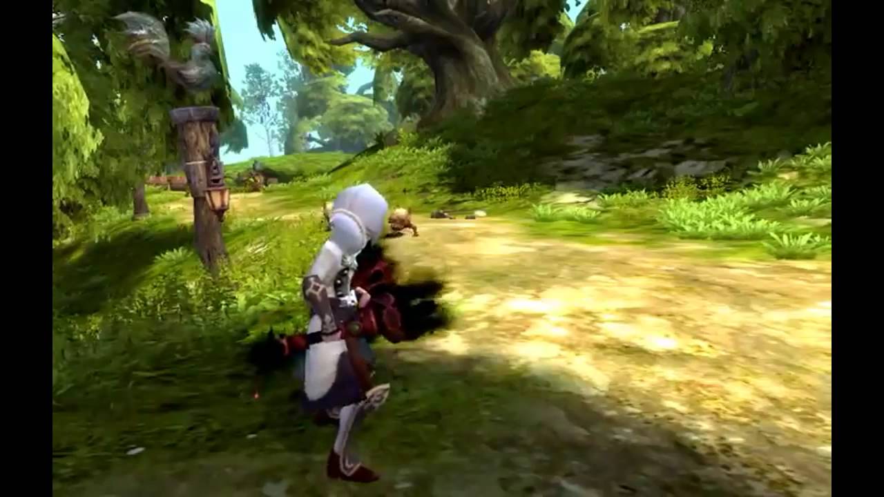 Dragon Nest - All level 55 EX skills