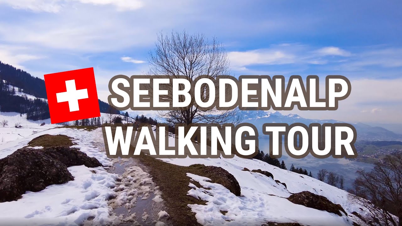 Hiking at the Mount Rigi Seebodenalp to Ruedisegg | Swiss Mountain 4k 60fps