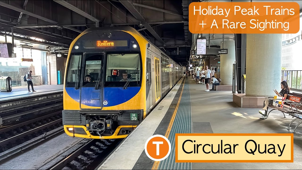 Transport for Sydney Vlog 924: Circular Quay Station - Holiday Peak Trains + A Rare Sighting