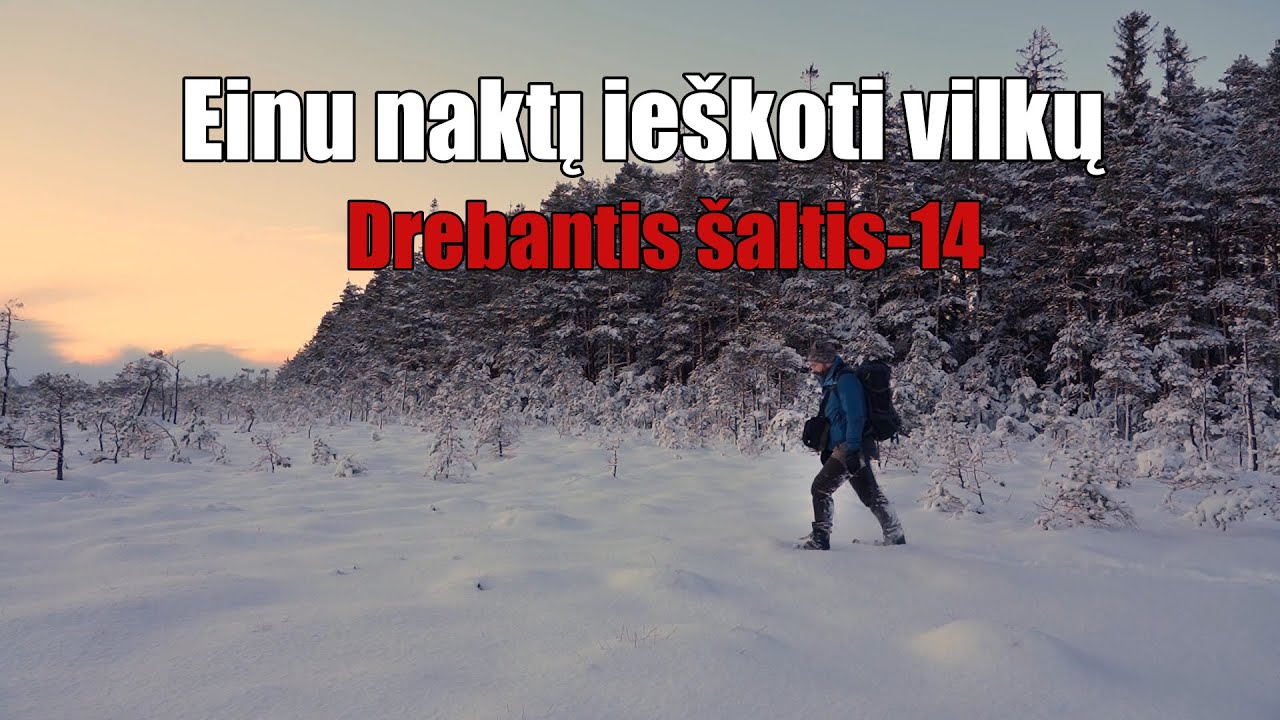 Naktinis žygis ieškant vilkų pėdų. Šaltis -14!