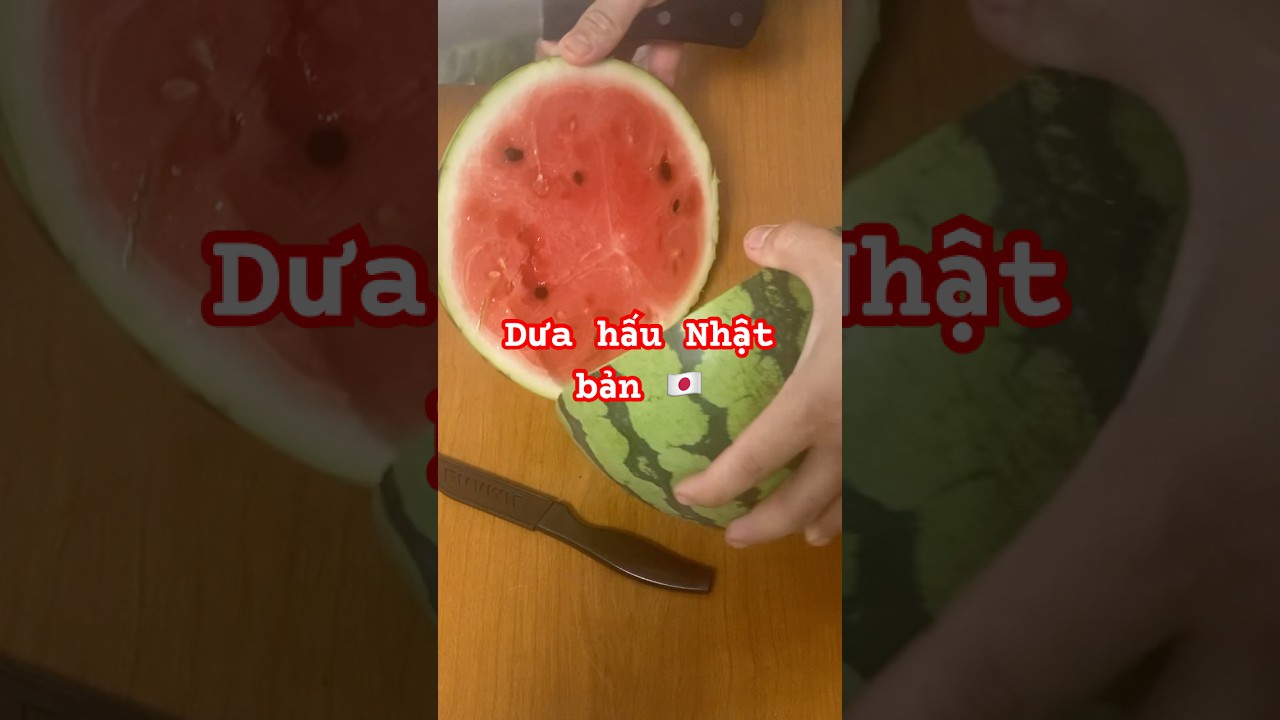 #cuocsongnhatban #food #caucathugian #vietnam #fruit #funny #sushilife #fishing #tintuc #cuoccauca