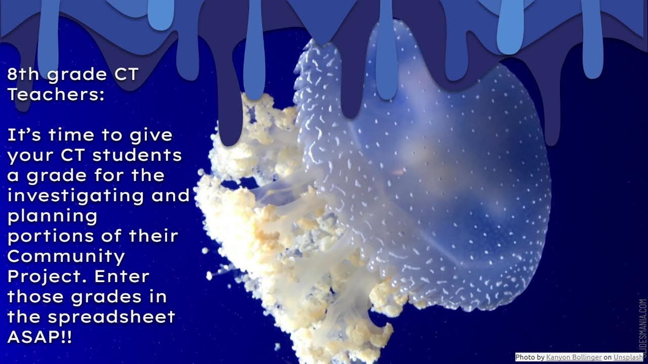 TCMS News 12/18/2025