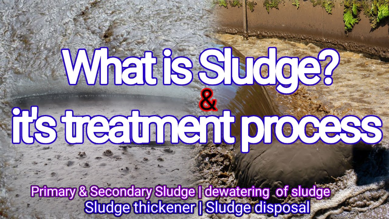 What is Sludge & its treatment process | Primary sludge | Secondary sludge | Sludge dewatering |
