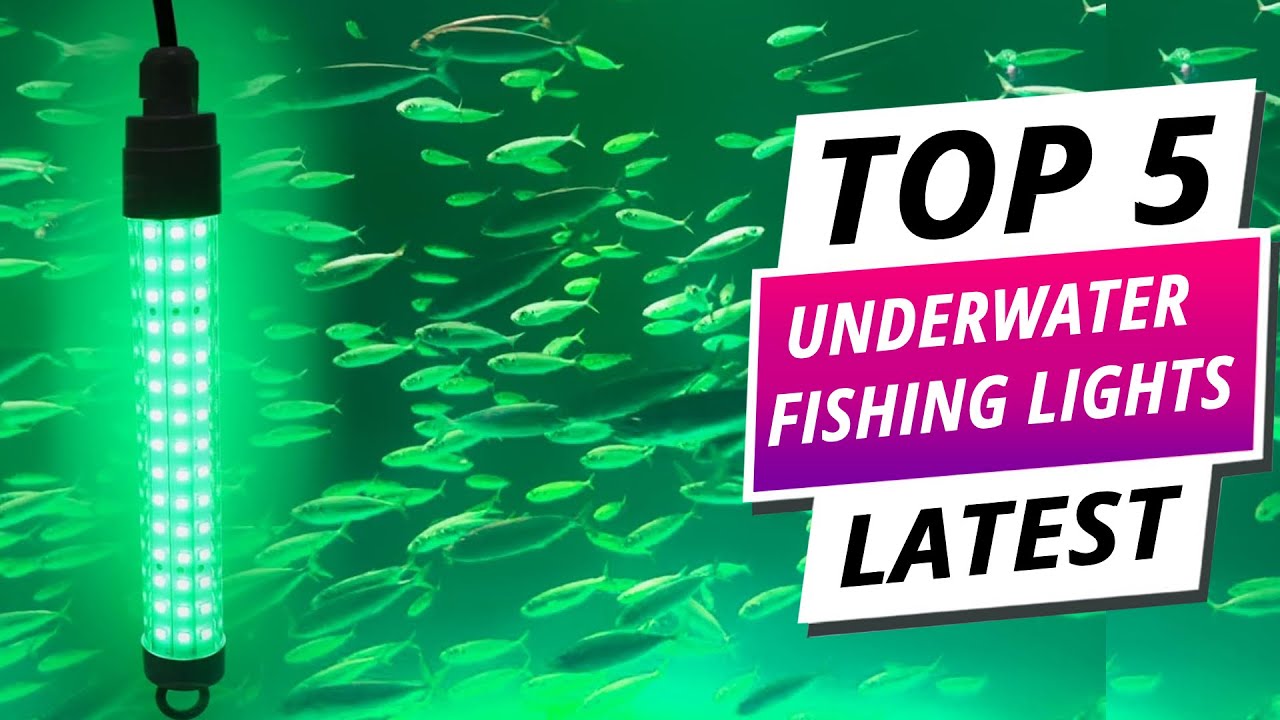 Top 5 Best Underwater Fishing Lights 2025 Bright & Durable LED Options for Night Fishing