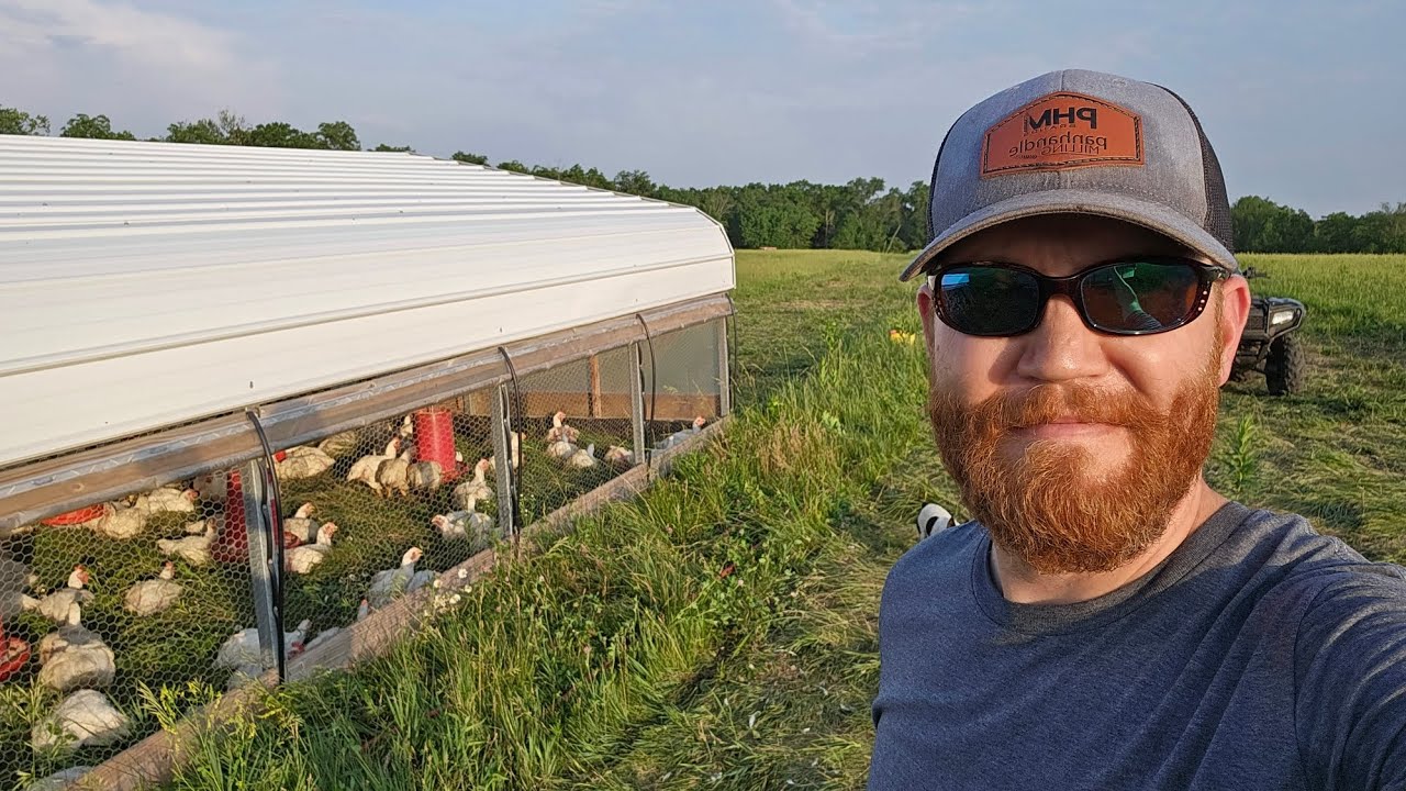 Regenerative Farming - Managing for improved pastures using broiler chickens.