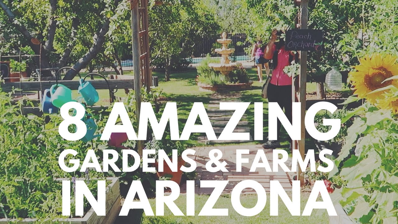 8 AMAZING Gardens & Farms in ARIZONA