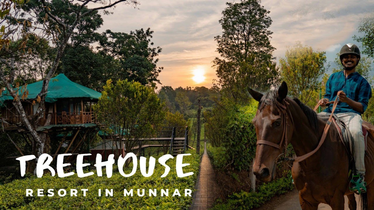 Best Treehouse Resort in Munnar | Dream Catcher Resort Munnar | Ebin Philip
