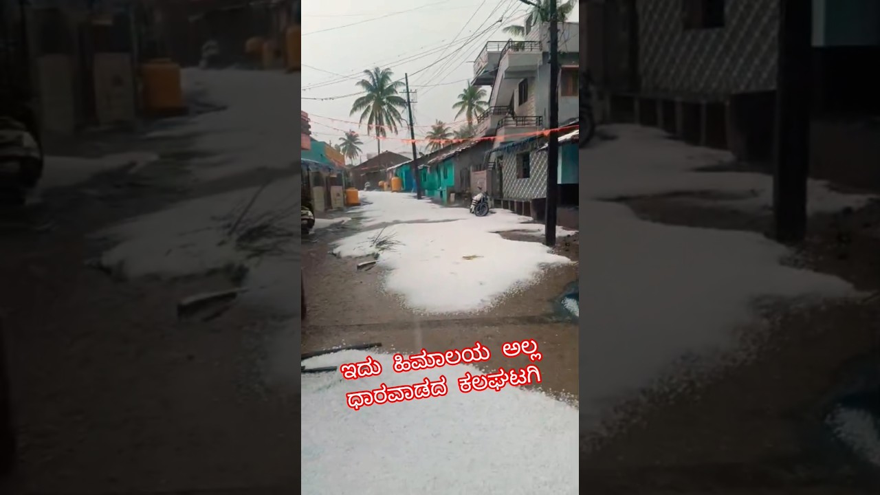 ಧಾರವಾಡದ ಕಲಘಟಗಿ ❤ #rain #snow #snowfall #dharwad #kalaghatagi #karnataka #india #himalayas #ice
