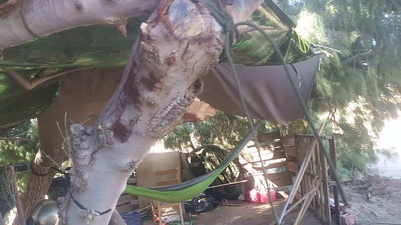 Treehouse update