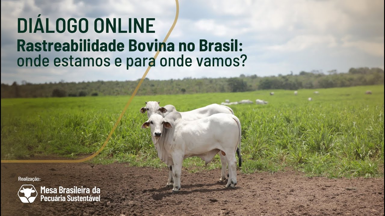 Rastreabilidade bovina no Brasil: onde estamos e para onde vamos?