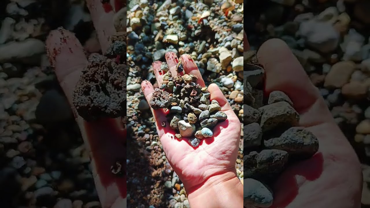 Hunting Bahan aquascape di alam