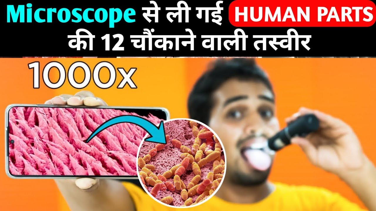 Human body parts under 1000x microscope | human body parts under electron microscope