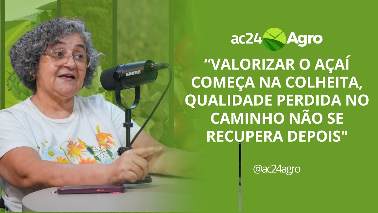 Embrapa desenvolve néctar misto de açaí para garantir segurança e ampliar mercado