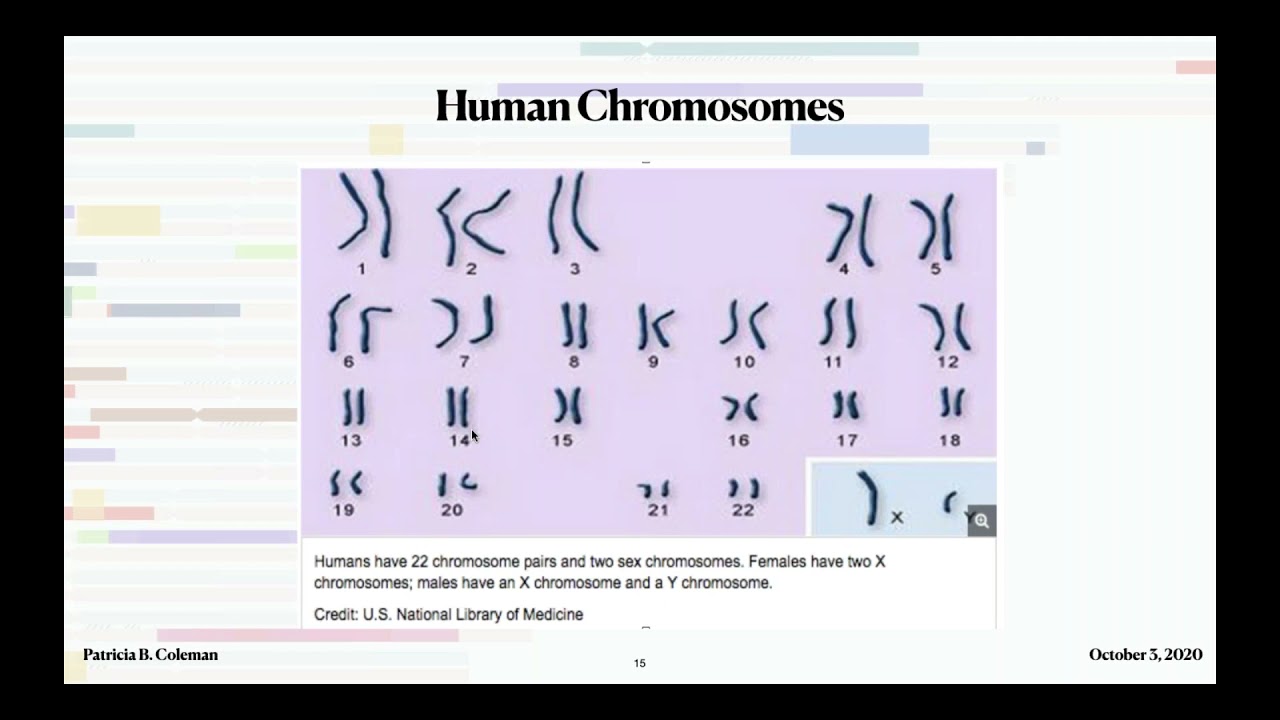 Beginning with DNA Painter_ Chromosome Mapping by Patricia Coleman
