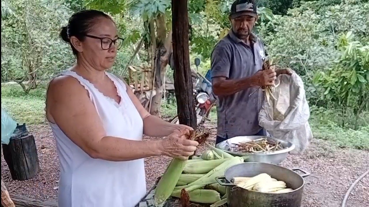 rotina aqui na roça almoço feijão verde peixe frito macaxera frita milho verde 