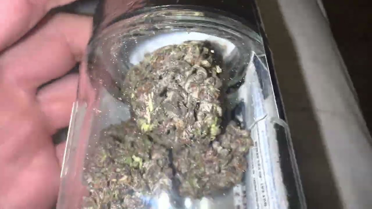 FRESH LOUD COURTESY OF THE CALI PLUG