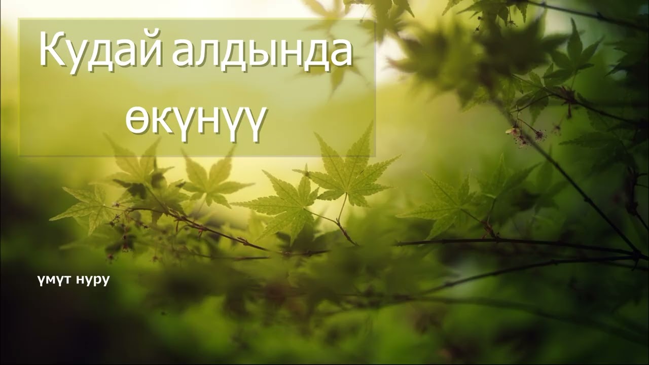 Кудайдын чакырыгы. 6 - март