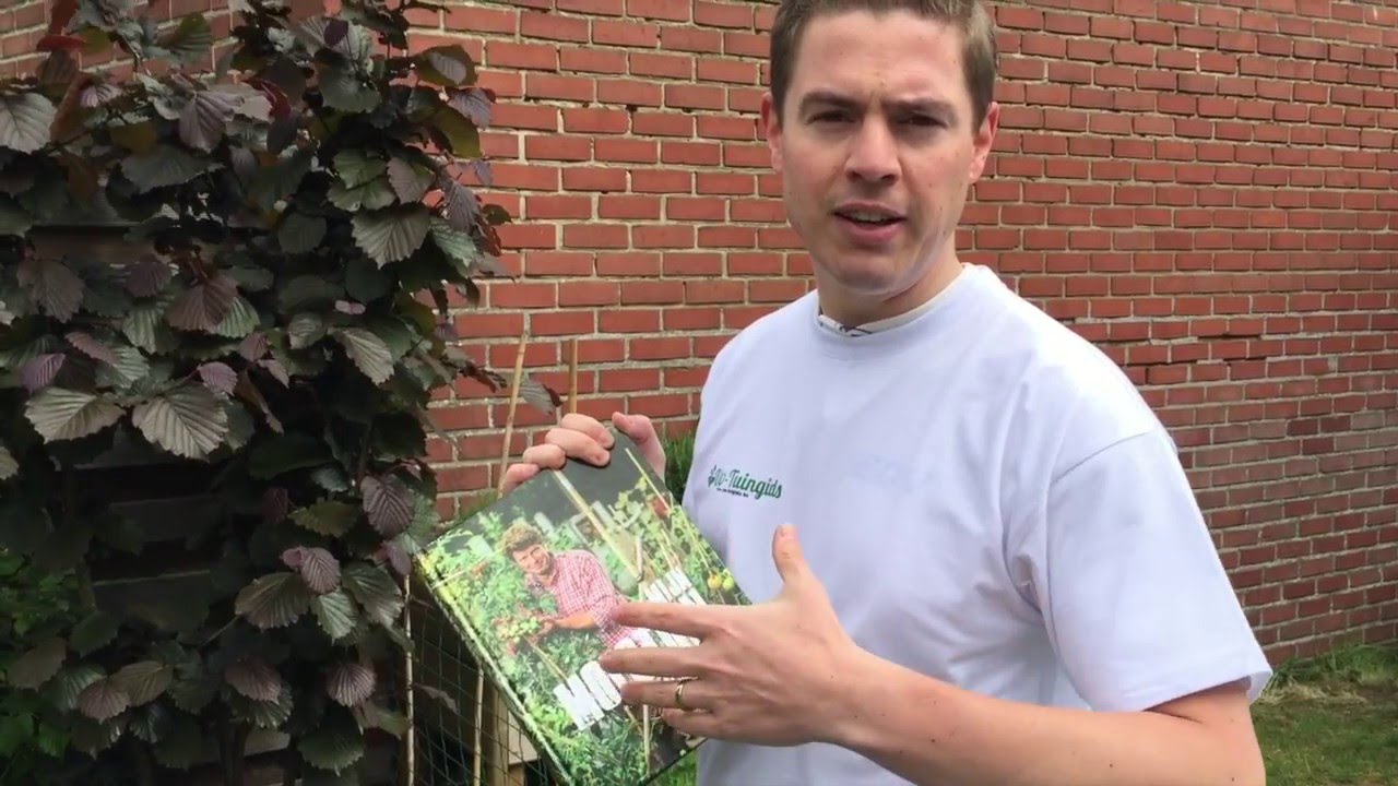 Een moestuin inrichten, hoe doe je dat?