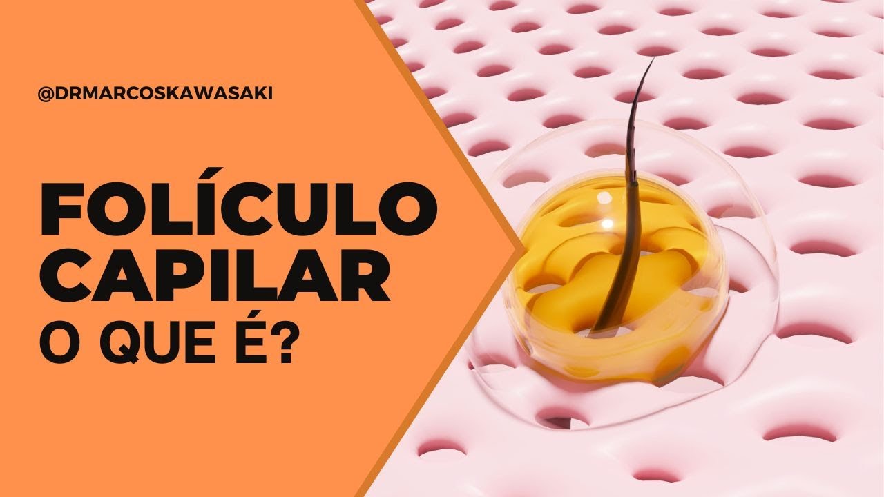 O que é folículo capilar?