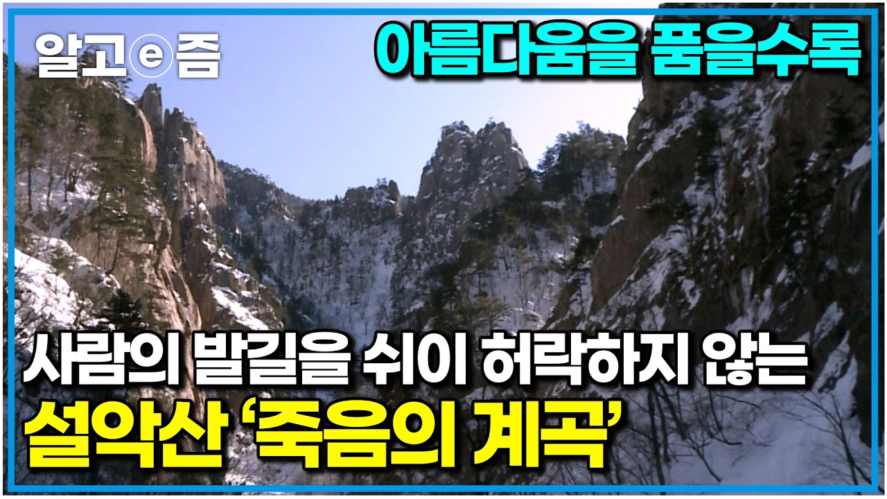 아무나 발 들일 수 없기에 더욱 신비로운 산, 설악. 설악산 죽음의 계곡으로 향한 사람들. 백두대간 마루금 열리던 날｜한국기행｜알고e즘