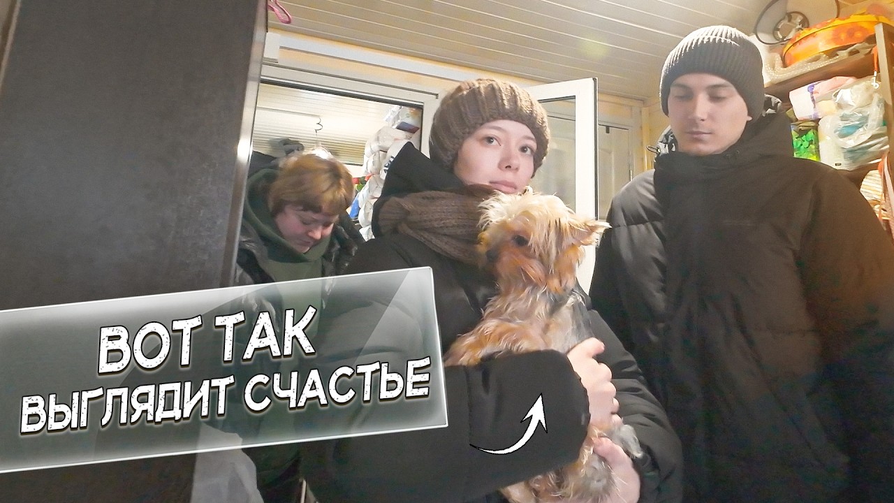Сегодня В МИРЕ НА 1 СЧАСТЛИВУЮ СОБАКУ БОЛЬШЕ!