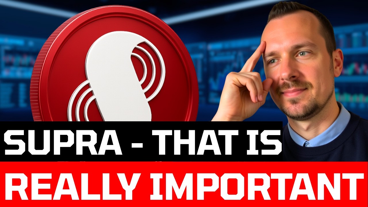 Supra 2.0 explained: Holders are sitting on a GOLDMINE!