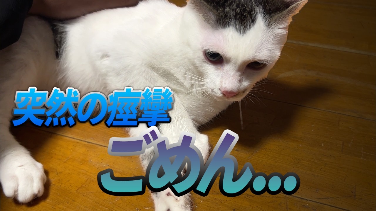 【ごめん】何もできなかった...