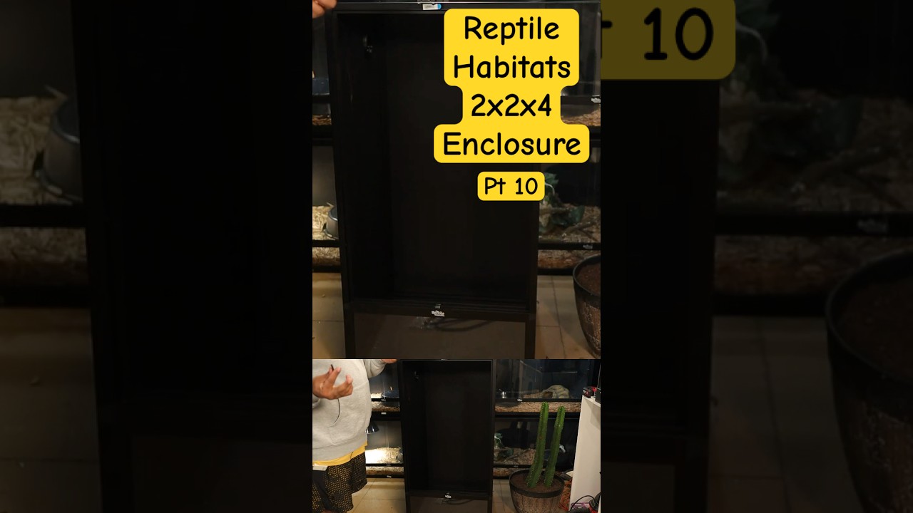 Распаковка лучшего террариума для рептилий размером 2x2x4? | Обзор мест обитания рептилий, часть ...