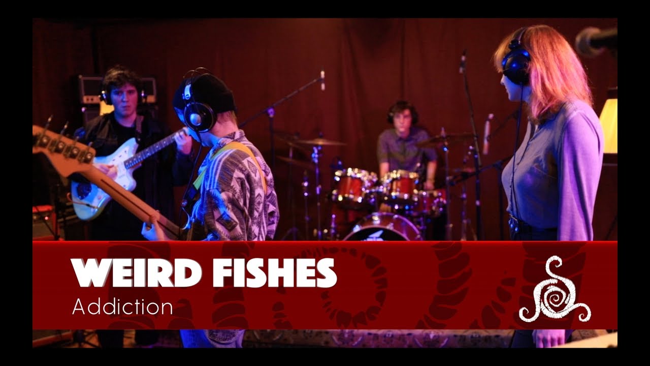 Weird Fishes - Addiction (Spiral Sessions)