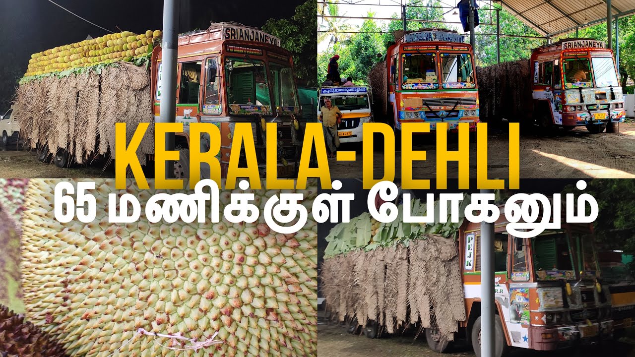 Kerala to Delhi￼🚚 Jackfruit |  timing load | 65 ￼ மணிக்குள் போகனும் #pattadhariotunartn15