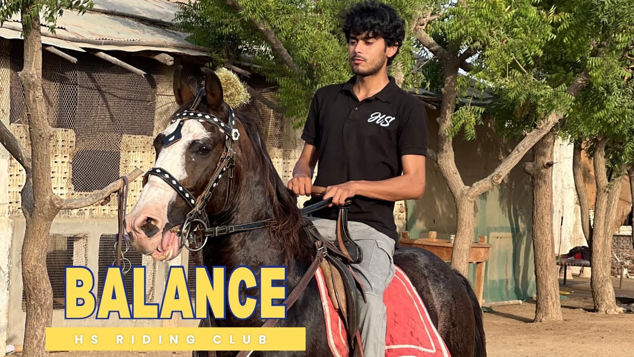 Horse Riding Academy and Club || Horse Training Classes || Why balance is important for Horse Riding