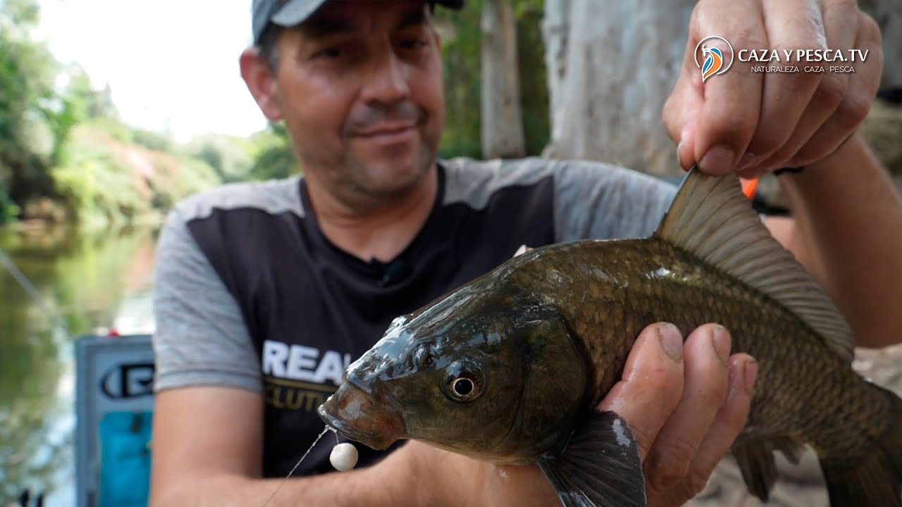 【𝐏𝐮𝐫𝐨 𝐦𝐞́𝐭𝐨𝐝𝐨 𝐅𝐞𝐞𝐝𝐞𝐫 𝐞𝐧 𝐞𝐥 𝐆𝐮𝐚𝐝𝐚𝐢𝐫𝐚】, Pesca a Feeder con Francisco Manuel Vázquez, Documental